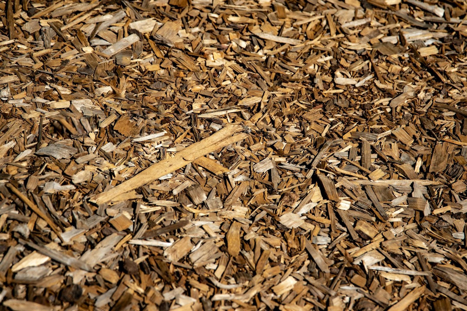 Organic bark mulch covering the soil around desert garden plants